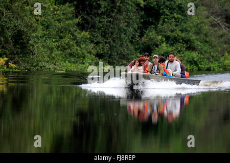 Touristische Reise, Pantanal, Eco freundliche Fluss Safari, Natur, Entdeckung, entspannend, Pantanal, Mato Grosso, Brasilien, Südamerika Stockfoto