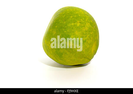 grüne Grapefruit auf weißen Hintergrund isoliert Stockfoto