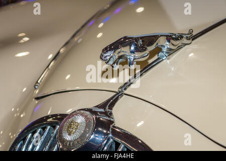 Kühlerfigur (Jaguar auf dem Sprung) der Jaguar XK150. Stockfoto