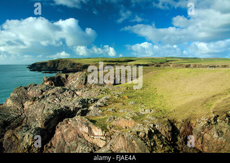 Mull of Galloway von oben West Tarbert, Galloway Stockfoto