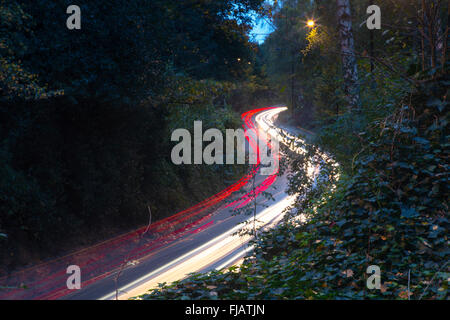 Ein Strom des Verkehrs auf einem Wald Weg Stockfoto