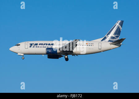 TAROM rumänischer Airlines Boeing 737-Flugzeuge Stockfoto