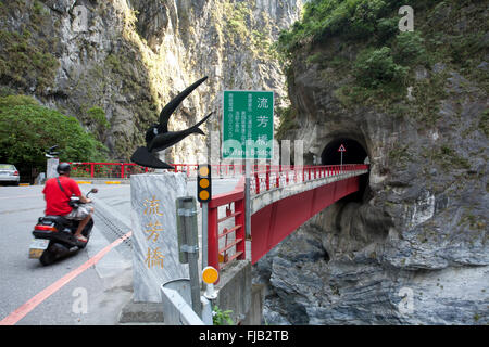 Motorradfahrer, der durch die Taroko-Schlucht auf dem Central Cross Island Highway, Taiwan, fährt Stockfoto