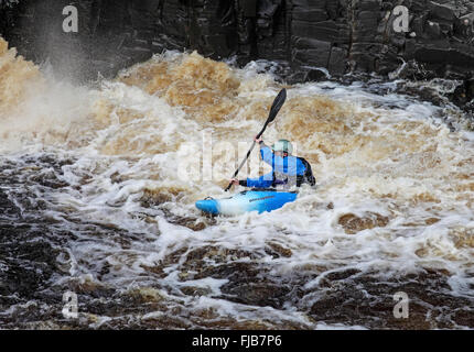 Kajakfahrer auf dem River Tees bei geringer Kraft, Bowlees, County Durham UK Stockfoto