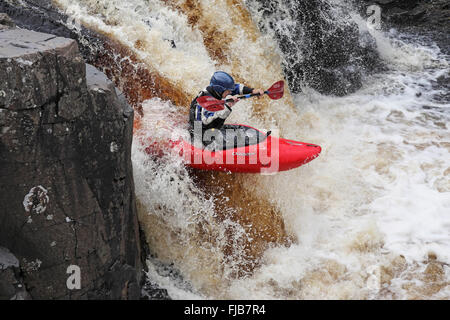 Kajakfahrer auf dem River Tees bei geringer Kraft, Bowlees, County Durham UK Stockfoto