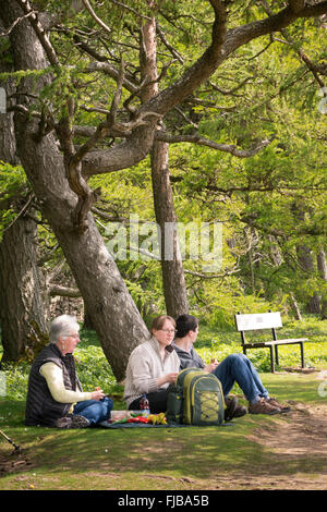 Familien-Picknick an Leyburn Richmondshire North Yorkshire in England Stockfoto