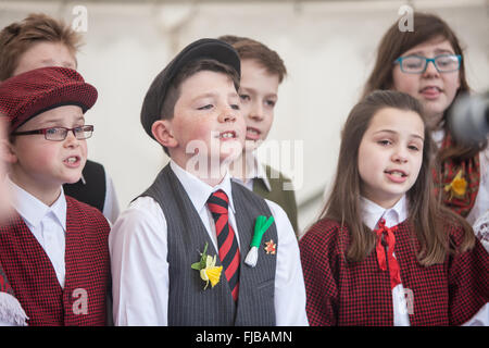 Carmarthen, Wales, Großbritannien. 1st. März 2016. Carmarthen, Wales, Großbritannien. 1st. März 2016. Junge, Jungen, Mädchen, Mädchen, Kind, Kinder, Schüler, Studenten, von der Nantgaredig School in Nationalkostüm von Wales singen Lieder auf Walisisch am Guildhall Square, Carmarthen, Carmarthenshire, Wales, U.K. Credit: Paul Quayle/Alamy Live News Stockfoto