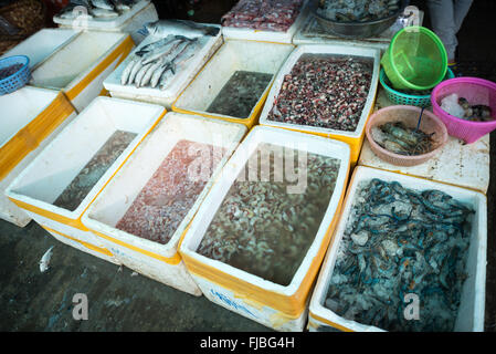 Garnelen und Garnelen zum Verkauf Mandalay Myanmar // MANDALAY, Myanmar — verschiedene Arten von Garnelen und Garnelen werden auf einem Fisch- und Blumenmarkt in der Nähe der Pulaing Street in Mandalay zum Verkauf angeboten. Der Markt dient als zentraler Drehscheibe für frische Meeresfrüchte und Produkte in Myanmars zweitgrößter Stadt. Mandalay liegt im Zentrum von Myanmar am Ayeyarwady River (auch bekannt als Irrawaddy) und ist ein bedeutendes Handelszentrum und ehemalige königliche Hauptstadt. Die Märkte der Stadt spiegeln die vielfältigen kulinarischen Traditionen der Region wider, wo Süßwasser- und Meeresfrüchte eine wichtige Rolle in der lokalen Küche spielen. Mandalay Division ist Stockfoto