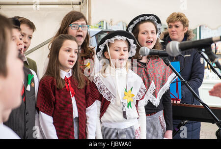 Carmarthen, Wales, Großbritannien. 1st. März 2016. Carmarthen, Wales, Großbritannien. 1st. März 2016. Junge, Jungen, Mädchen, Mädchen, Kind, Kinder, Schüler, Studenten, von der Nantgaredig School in Nationalkostüm von Wales singen Lieder auf Walisisch am Guildhall Square, Carmarthen, Carmarthenshire, Wales, U.K. Credit: Paul Quayle/Alamy Live News Stockfoto