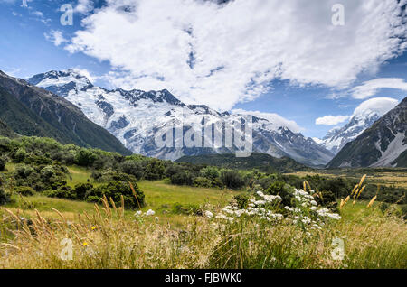 Aufrufen Sie, um Sefton montieren über Tasman Flusstal, Mount Cook Nationalpark, Südinsel, Neuseeland Stockfoto