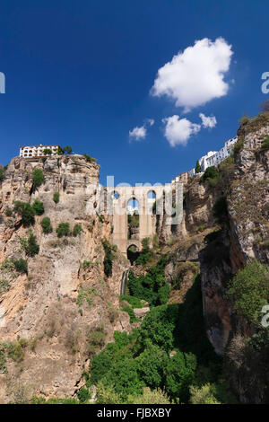 Puente Nuevo Brücke über die Schlucht des Rio Guadalevin, Ronda, Andalusien, Spanien Stockfoto