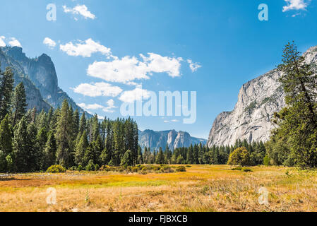 Marschland im Herbst im Yosemite Valley, Yosemite-Nationalpark, Kalifornien, USA Stockfoto