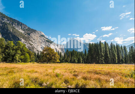 Marschland im Herbst im Yosemite Valley, Yosemite-Nationalpark, Kalifornien, USA Stockfoto