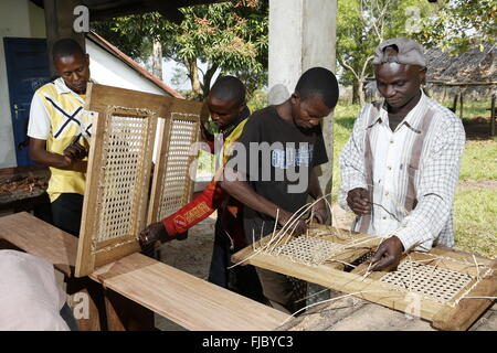 Lehrlinge auf Stuhl, Zimmerei und Tischlerei Werkstatt Matamba-Solo, Provinz Bandundu, Republik Kongo Stockfoto