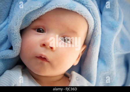 drei Monate altes Baby eingehüllt in blaue Decke Stockfoto