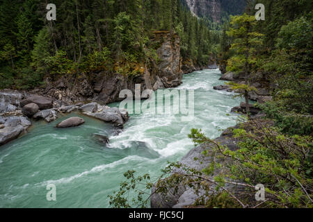 Overlander Falls Trail, Mount Robson Provincial Park, Britisch-Kolumbien, Kanada, Fraser River Stockfoto