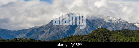 Berge im Naturpark Sierra de las Nieves, La Torrecilla Gipfel bedeckt mit Schnee, Andalusien, Spanien. Stockfoto