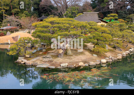 Okayama, Japan Korakuen Garten Stockfoto