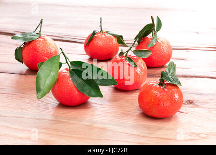 Frische Mandarinen mit grünen Stängel und Blätter Stockfoto