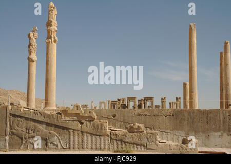 Relief auf Treppe und Spalten, Apadana Palast, Persepolis, Iran Stockfoto