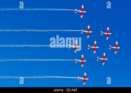 Schweizer Luftwaffe Pilatus NCPC-7 Display Team. Stockfoto