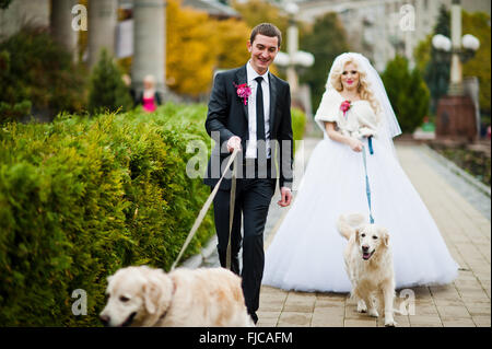 Hochzeitspaar Spaß mit zwei golden Retriever Hunde Stockfoto