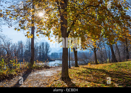 Herbstlaub in Leavenworth Waterfront Park im US-Bundesstaat Washington. Stockfoto