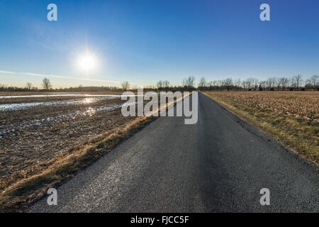 Ländlichen Landstraße durch Kornfeld im Winter, Indiana, USA Stockfoto