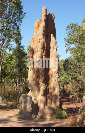 Termite Mound, Litchfield National Park, Australien Stockfoto