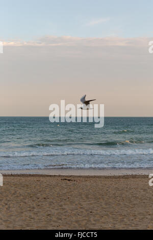 ein Abendlicht, Blick auf einem Steg am Strand mit Sand getroffen Stockfoto