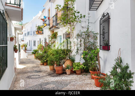 Malerische Gasse mit vielen Pflanzen dekoriert. Frigiliana, Andalusien, Spanien. Stockfoto