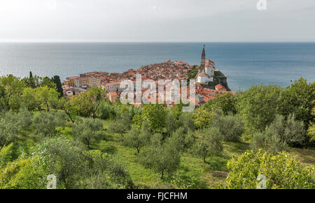 Malerischen alten Stadt Piran auf Halbinsel im Adriatischen Meer, Slowenien. Luftaufnahme. Stockfoto