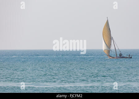 Hölzerne Segelschiff (dau) auf dem klaren, türkisfarbenen Wasser der Insel Sansibar Stockfoto