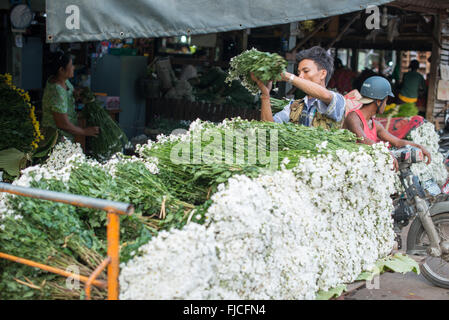 Chrysanthemum Blumenmarkt Mandalay Myanmar // MANDALAY, Myanmar — Chrysanthemen und verschiedene weiße Blumen werden auf einem Blumenmarkt in der Nähe der Pulaing Street in Mandalay zum Verkauf angeboten. Auf dem Markt werden häufig Chrysanthemen neben traditionellen Myanmar-Blumen wie Jasmin (moe Nin), Wasser-Jasmin (Thazin) und Tuberose (Sabe) angeboten, die weit verbreitet für buddhistische Tempelopfer und zeremonielle Zwecke verwendet werden. Weiße Blumen haben eine besondere Bedeutung in der Kultur Myanmars, die häufig in religiösen Ritualen und traditionellen Girlanden vorkommen. Mandalay, Myanmars zweitgrößte Stadt und Stockfoto