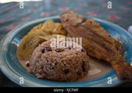 Blau Teller mit Reis, Bohnen, Fisch, garifuna Stil bereit, um bedient zu werden. Stockfoto