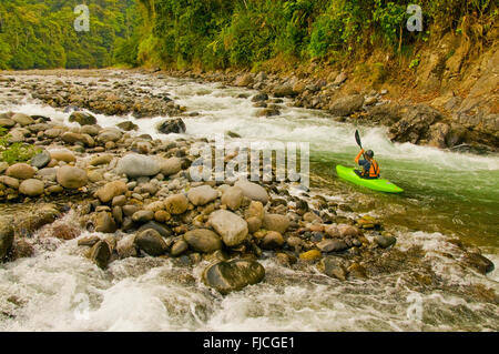 Kajakfahrer auf dem unteren Pacuare Fluss paddeln. Costa Rica Stockfoto