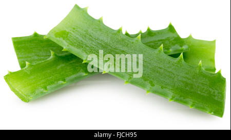 Aloe Vera Scheiben auf dem weißen Hintergrund isoliert. Stockfoto