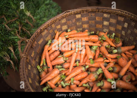Mandalay Myanmar // MANDALAY, Myanmar — Ein mit frischen Karotten gefüllter Korb auf dem Fisch- und Blumenmarkt in der Nähe der Pulaing Street in Mandalay. Der Markt dient als zentraler Drehpunkt für lokale Produkte, Fisch und Meeresfrüchte und Blumen in Myanmars zweitgrößter Stadt. Mandalay liegt im Zentrum von Myanmar am Ayeyarwady River (auch bekannt als Irrawaddy) und ist das kulturelle und religiöse Zentrum des Landes. Die Stadt war die letzte königliche Hauptstadt Myanmars vor der britischen Kolonialherrschaft und bleibt ein wichtiges Handelszentrum. Traditionelle Märkte wie dieser spielen weiterhin eine entscheidende Rolle Stockfoto
