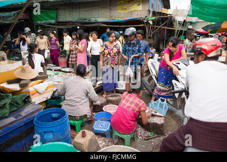 Fischmarkt Frauen bereiten Fisch vor Mandalay Myanmar // MANDALAY, Myanmar — Frauen bereiten Fisch für Kunden auf einem Fisch- und Blumenmarkt in der Nähe der Pulaing Street in Mandalay zu. Der Markt ist eines der traditionellen Handelszentren in Myanmars zweitgrößter Stadt und ehemaliger königlicher Hauptstadt. Mandalay liegt im Zentrum von Myanmar am Ayeyarwady River (auch bekannt als Irrawaddy) und ist ein wichtiger wirtschaftlicher und kultureller Mittelpunkt in der Region Mandalay. Die Stadt wurde 1857 von König Mindon als letzte königliche Hauptstadt des burmesischen Königreichs vor der britischen Kolonialherrschaft gegründet. Heute ist Mandalay Re Stockfoto