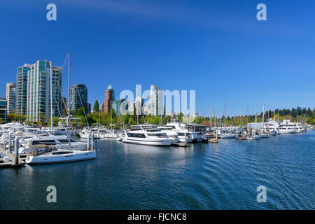 Coal Harbour Marina in Downtown Vancouver, BC. Kanada. Stockfoto