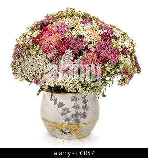 Bouquet Blumen Schafgarbe in einer Vase, isoliert auf weißem Hintergrund Stockfoto