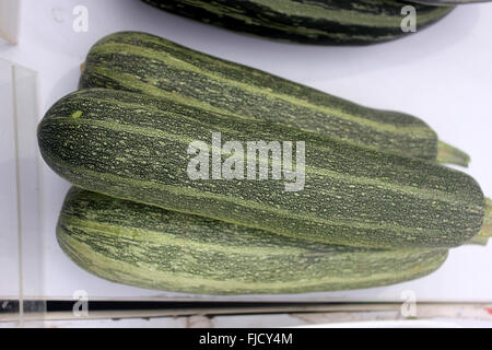 Cucurbita Pepo, australische grün Sommerkürbis, Sorte mit zylindrischen Früchte, Dak grün mit hellen grünen Streifen und Punkten Stockfoto