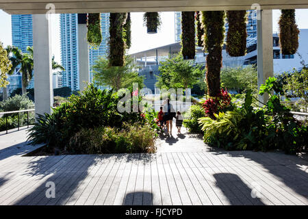 Miami Florida, Perez Art Museum Miami, PAMM, Galerie, modern, außen, hängender Garten, FL160226049 Stockfoto