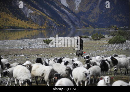 Tibet, Tibet, CHN. 1. März 2016. Rawu See liegt die 27 Quadratkilometer in 318 National Road, mit 3807 Metern Höhe und einer Länge von 26 km. Laguna-Gletscher ist die wichtigste Wasserquelle beim Schmelzen. Bildnachweis: SIPA Asien/ZUMA Draht/Alamy Live-Nachrichten Stockfoto