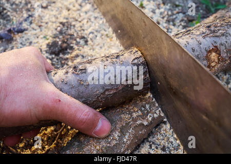 Mann hält das Protokoll und sägt es bis Stockfoto