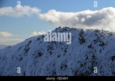 Bergsteiger auf dem Gipfel des Wirbels wie im Winter von der Spitze des großen Torfgebieten Stockfoto