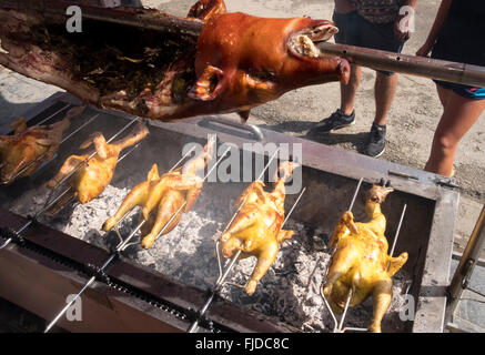 Ein Schwein und Hühner werden auf einem Drehspieß Spieß in Sapa, Zentralvietnam geröstet. Stockfoto