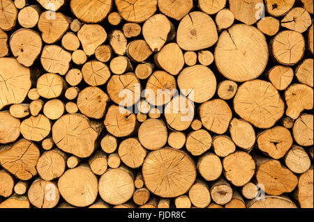 Stapel von sauberen Schnitt Holz Stockfoto