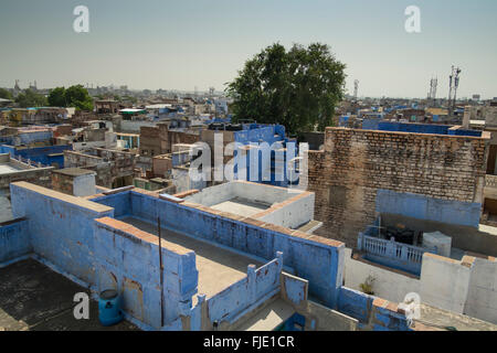 Die blaue Stadt Jodhpur von einem Dach, Rajasthan, Indien Stockfoto