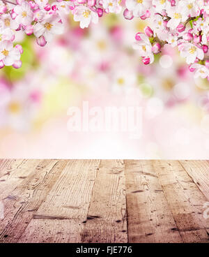 Kirschblüten mit leeren Holzbohlen Stockfoto